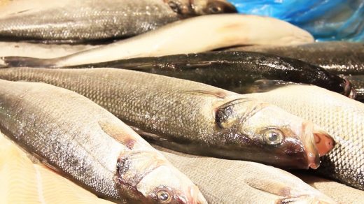 Waarom is vis een seizoensproduct? Wat kan er misgaan bij de bereiding? Wat is de invloed van visquota op de horeca? Alles wat je nog niet wist over vis!